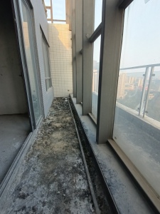 滨湖一号