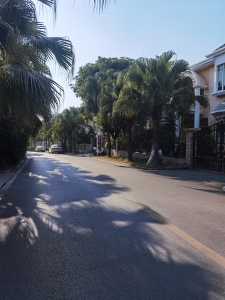 雅宝新城