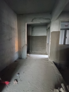 滨湖一号