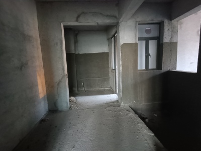 滨湖一号