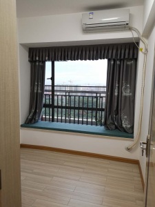 滨湖一号