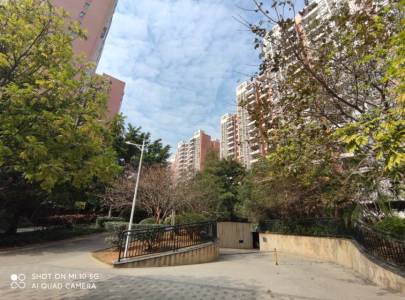 学府花园