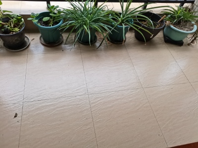 嘉逸华庭