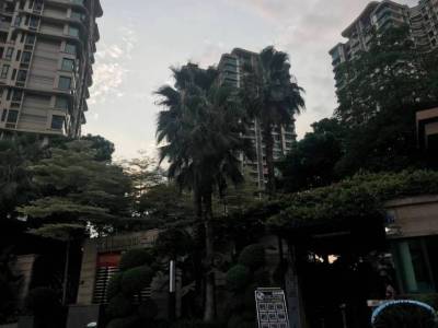 雅居乐锦城