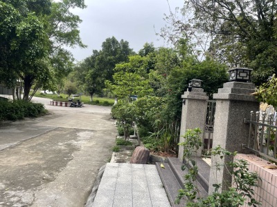 芙蓉绿茵雅致