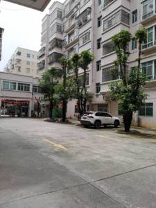 松园小区