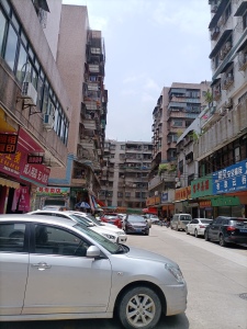 市政园林小区