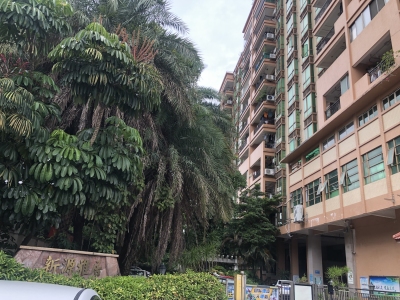 新源雅居300万元VR房，性价比高