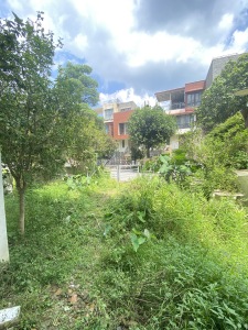 勤天一品树院