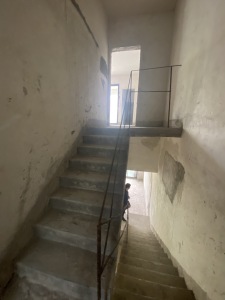 勤天一品树院