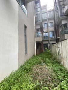 勤天一品树院