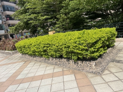 骏威广场