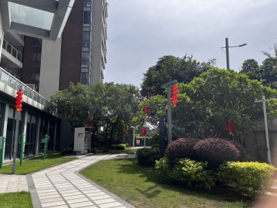 滨湖一号
