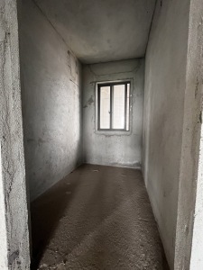 滨湖一号