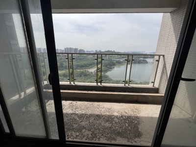 滨湖一号