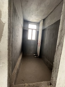 滨湖一号