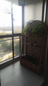 荔园悦享花醍