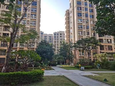 雅居乐万科热橙
