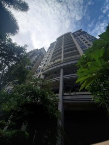 美林轩逸时光