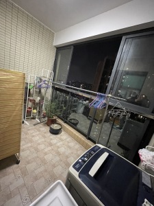 泊岸君庭