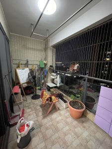泊岸君庭