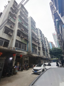 金花园