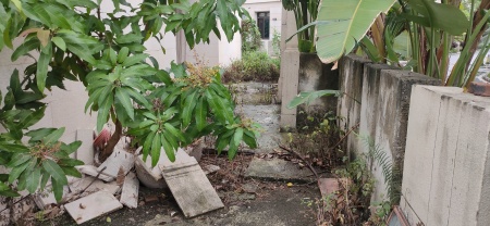 万科兰乔圣菲