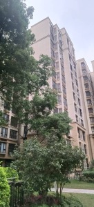 雅居乐万科热橙
