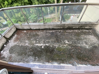 金碧御水山庄
