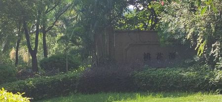 桃花源
