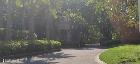 桃花源