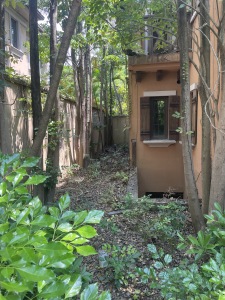 桃花源