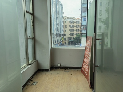 茶园路