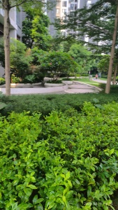荔园悦享花醍