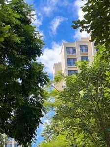 雅居乐万科热橙