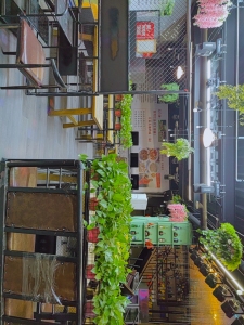 百寿路