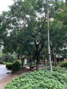 福虹阳光美地