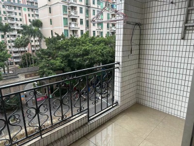 金菊花小区