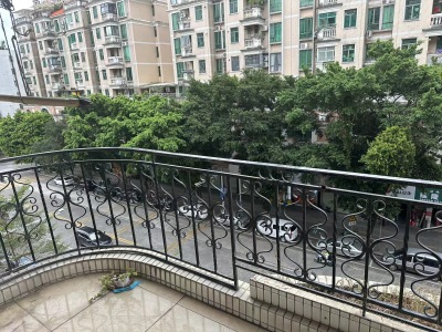 金菊花小区