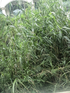 金碧御水山庄