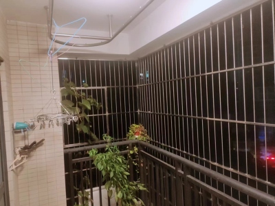 狮城国际