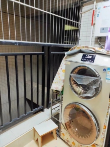 狮城国际