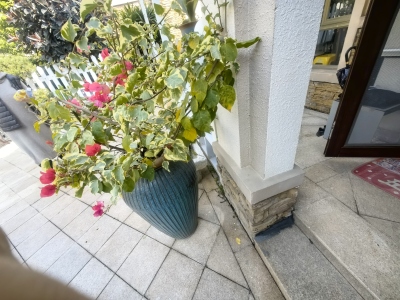 碧桂园假日半岛