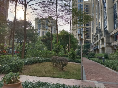 富力金港城