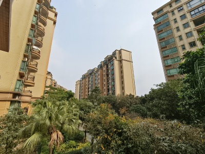 雅居乐花样巴黎