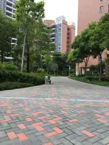 学府花园