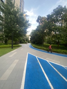 桐悦花园