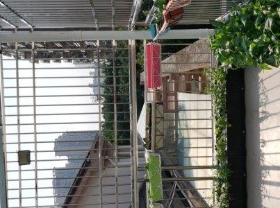 花都雅居乐二期