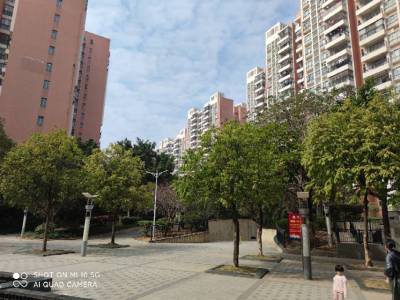 学府花园