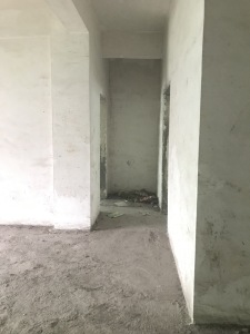 紫光园